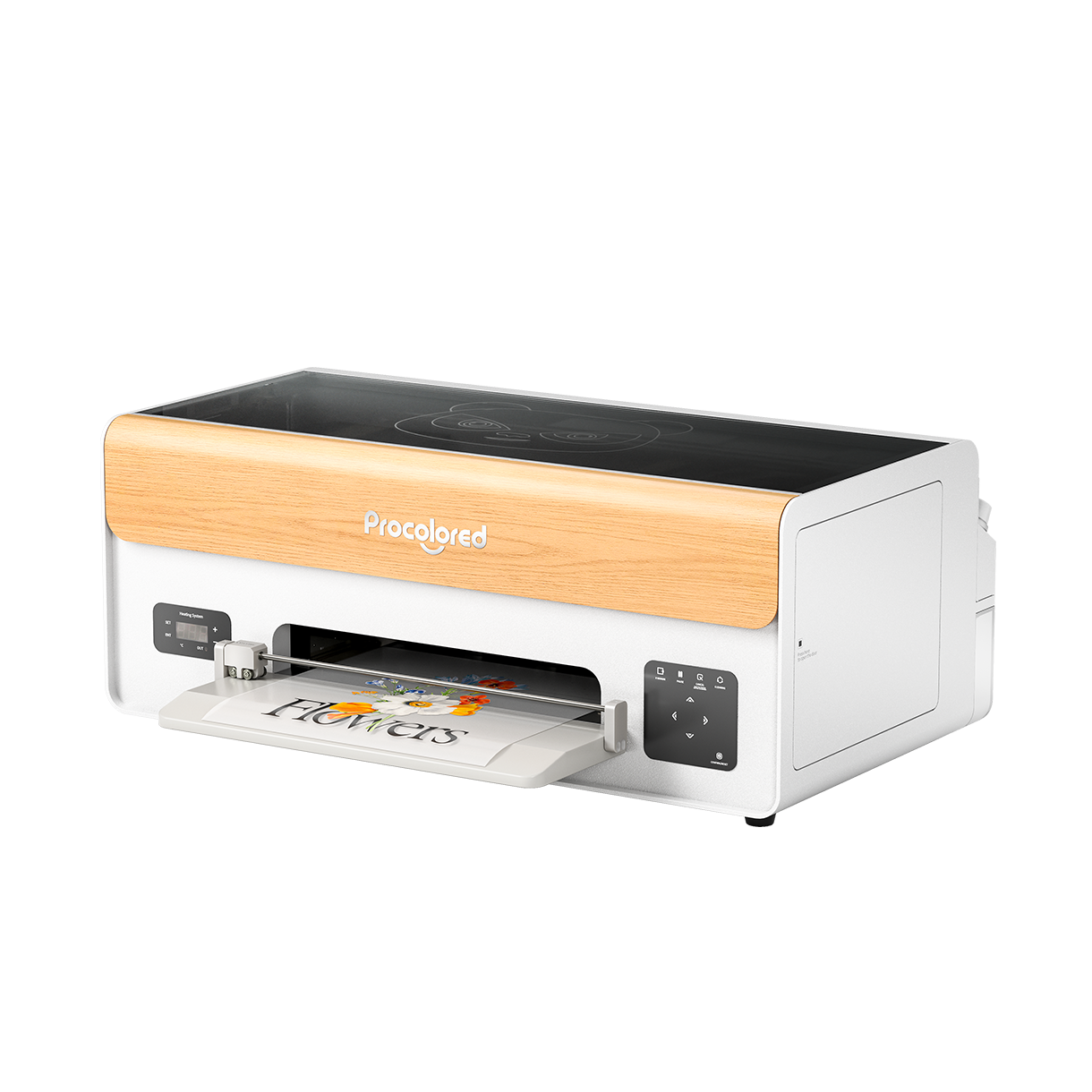 Imprimante DTF Procolored P13 13" A3 XP600